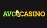 1_avocasino - crazytimes.it